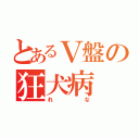 とあるＶ盤の狂犬病（れな）