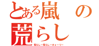 とある嵐の荒らし（荒らしー荒らしーホォーリー）