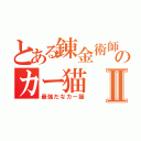 とある錬金術師のカー猫Ⅱ（最強だなカー猫）