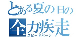 とある夏の日の全力疾走（スピードバーン）