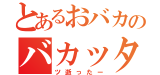 とあるおバカのバカッター（ツ逝ったー）