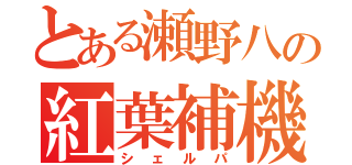 とある瀬野八の紅葉補機（シェルパ）