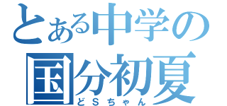 とある中学の国分初夏（どＳちゃん）