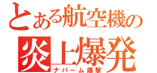 とある航空機の炎上爆発（ナパーム爆撃）