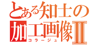 とある知士の加工画像Ⅱ（コラージュ）