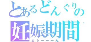 とあるどんぐりの妊娠期間（ふぅーーーん）