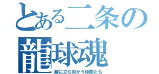 とある二条の龍球魂（敵に立ち向かう仲間たち）