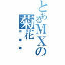 とあるＭＸの菊花Ⅱ（很傲嬌）