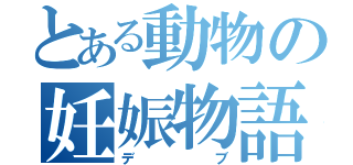 とある動物の妊娠物語（デブ）