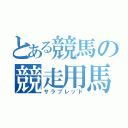 とある競馬の競走用馬（サラブレッド）