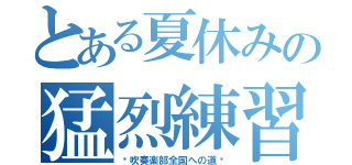 とある夏休みの猛烈練習（〜吹奏楽部全国への道〜）