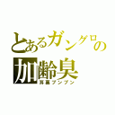 とあるガングロの加齢臭（耳裏プンプン）