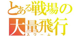 とある戦場の大量飛行機（スワーム）