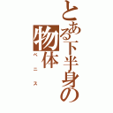 とある下半身の物体（ペニス）