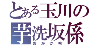 とある玉川の芋洗坂係長（おかか味）