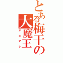 とある梅干の大魔王（アホアホ）