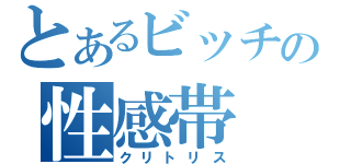 とあるビッチの性感帯（クリトリス）