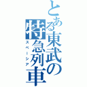 とある東武の特急列車（スペーシア）