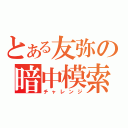 とある友弥の暗中模索（チャレンジ）