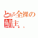 とある全裸の鯖主（服着ろ）