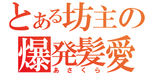 とある坊主の爆発髪愛（あ　さ　く　ら）