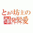 とある坊主の爆発髪愛（あ　さ　く　ら）