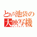 とある池袋の大映写機（ビックカメラ）