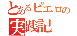 とあるピエロの実践記（）