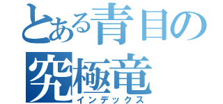 とある青目の究極竜（インデックス）