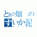 とある畑のすいか泥棒（チャー）