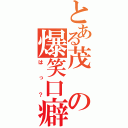 とある茂の爆笑口癖（はっ？）