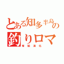 とある知多半島の釣りロマン（有給消化）