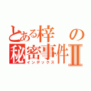 とある梓の秘密事件Ⅱ（インデックス）