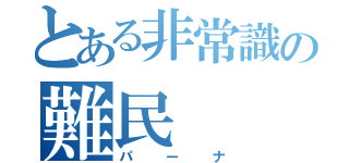 とある非常識の難民（パーナ）