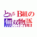 とあるＢ組の無双物語（ドッチボール）