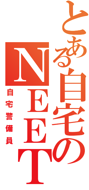 とある自宅のＮＥＥＴ（自宅警備員）