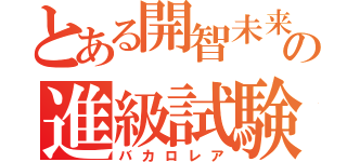 とある開智未来の進級試験（バカロレア）