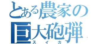 とある農家の巨大砲弾（スイカ）