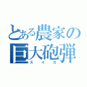 とある農家の巨大砲弾（スイカ）