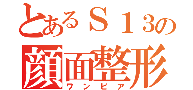 とあるＳ１３の顔面整形（ワンビア）