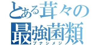 とある茸々の最強菌類（ブナシメジ）