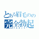 とある眉毛のの完全勃起（フルボッキ）