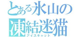 とある氷山の凍結迷猫（アイスキャット）