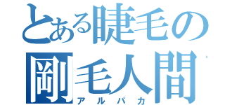 とある睫毛の剛毛人間（アルパカ）