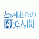 とある睫毛の剛毛人間（アルパカ）