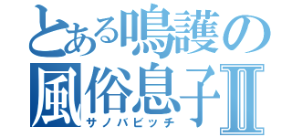 とある鳴護の風俗息子Ⅱ（サノバビッチ）