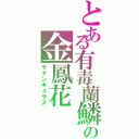 とある有毒蘭鱗の金鳳花（ラナンキュラス）