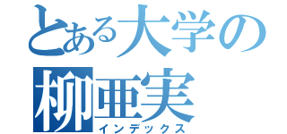 とある大学の柳亜実（インデックス）