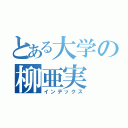 とある大学の柳亜実（インデックス）