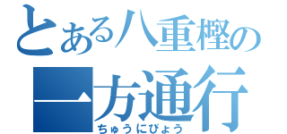 とある八重樫の一方通行（ちゅうにびょう）